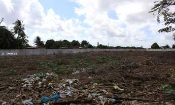 Imagem 10: Terreno para Venda em São Gonçalo do Amarante, Jardins