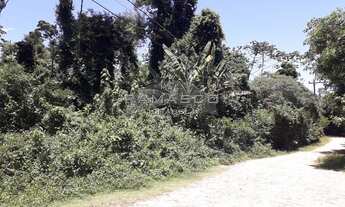 Imagem: TERRENO PLANO - REGIÃO CENTRAL DE ILHABELA