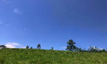 Imagem 7: Terrenos com 800m² plainos 100% valorizado em Piracaia SP