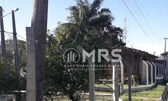 Imagem 7: Chácara com 2 dormitórios à venda, 1450 m² as margens da SC-108 em São João Batista/SC