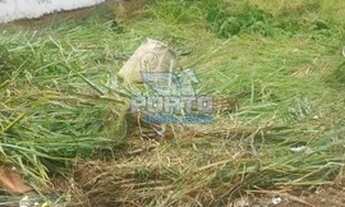 Imagem 6: TERRENO NO JARDIM PAULISTA