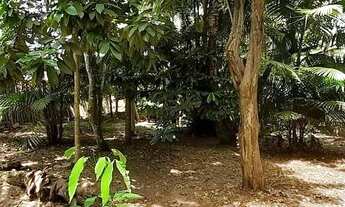 Imagem: Terreno à venda 13x60 para investimento