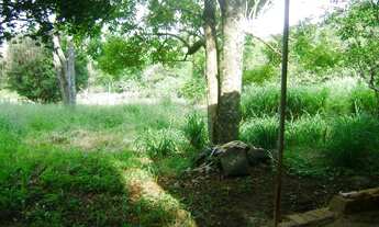 Imagem 3: Terreno residencial à venda, Jardim Primavera, Vinhedo