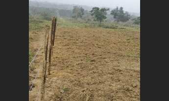 Imagem 7: Espetacular chácara de 15 mil metros