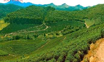 Imagem 7: Fazenda à venda, 1306800 m², em Espera Feliz - MG