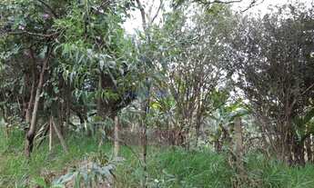 Imagem 2: Terreno - Jardim Monte Belo - Campinas