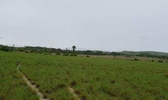 Imagem: Fazenda de 950 hectares Bonfim a 80 km de