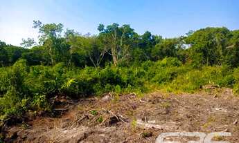 Imagem 4: Terreno | Balneário Barra do Sul