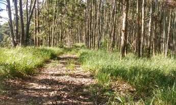 Imagem 5: Terrenos em promoção em Mairiporã em Rio Acima - Mairiporã - SP