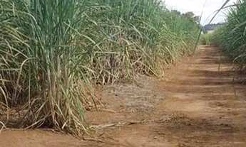 Imagem 5: Fazenda/Sítio/Chácara para venda possui 338800 metros quadrados em Zona Rural - Tietê - SP