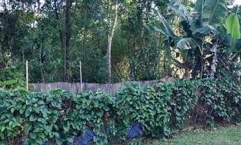 Imagem 2: Pandolfo Vende Sítio no Guaíba Country