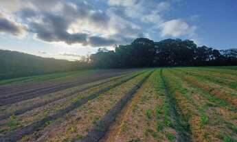 Imagem 6: Lote/Terreno para venda possui 1000 metros quadrados em Veloso - Osasco - SP