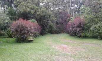 Imagem 3: Petrópolis - Terreno Padrão - Itaipava