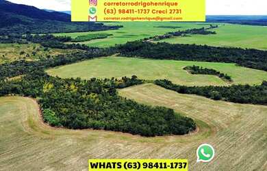 Imagem 6: Fazenda Dupla Aptidão em Lavoura Porto Nacional