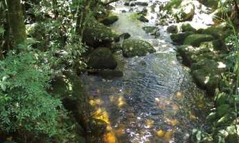 Imagem 3: Lote Village Sans Souci