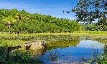 Imagem 3: Fazenda com 1 dormitório à venda, 2750000 m² por R$ 9.900.000 - Centro - Jacupiranga/SP