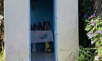 Imagem 5: Chácara em CACHOEIRINHA - Pinhalzinho