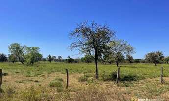 Imagem: Fazenda à venda, 677Ha (140Alq) R$ 15.400.000