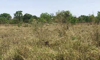 Imagem: Park way 20.000 m2 com ou sem área verde