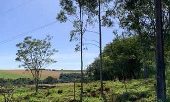 Imagem: Terreno Rural em Marialva