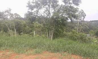 Imagem 3: Terreno para plantação