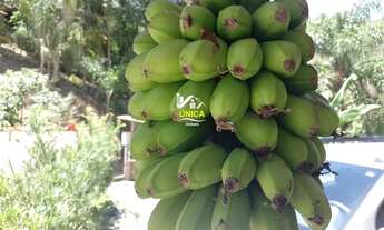 Imagem 4: Fazenda/Sítio/Chácara para venda possui 19500 metros quadrados com 5 quartos