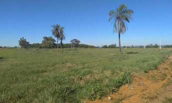 Imagem 5: Vendo Chacará 2.997 m2 na beira do Lago
