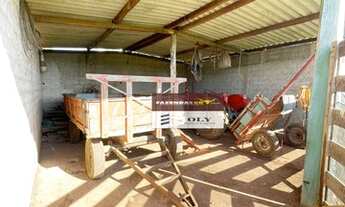 Imagem 3: Fazenda Premium 9.3 Alqueires ! Na Beira do Rio dos Bois - Varjão - GO !