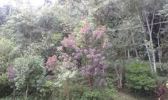 Imagem 4: Petrópolis - Terreno Padrão - Itaipava