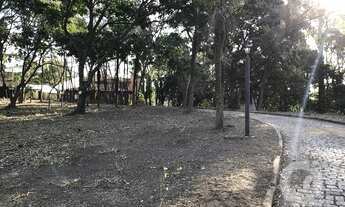 Imagem 5: Terreno para alugar, 8800 m² por R$ 6.600,00/mês - Granja dos Cavaleiros - Macaé/RJ