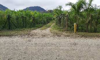 Imagem: Sitio em Garuva - SC