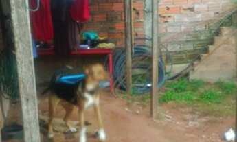 Imagem 5: Casa com terreno troca ou venda