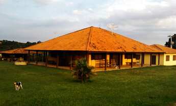 Imagem 5: Sitio formado com produção de feno