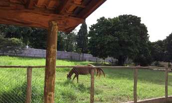 Imagem: Chácara para venda de 5000 metros na Chácara