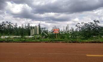 Imagem: Arapongas - Terreno Padrão - Loteamento