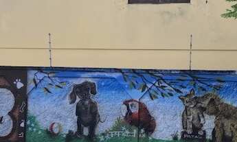 Imagem: Vendo imóvel comercial de esquina em Nova