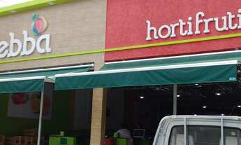 Imagem 3: Vendo Chacará com casa