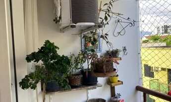 Imagem 7: RESENDE - Padrão - Barbosa Lima