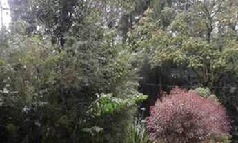 Imagem 2: Petrópolis - Terreno Padrão - Itaipava