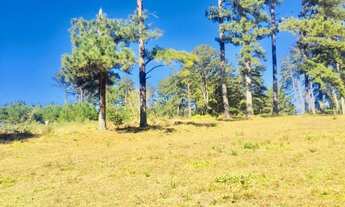 Imagem 7: Terreno Rural 798.600,00m² São Luiz do Purunã