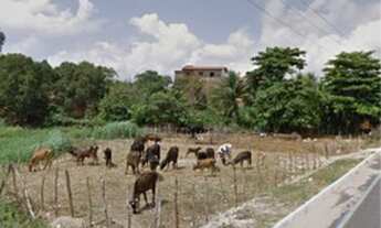 Imagem 4: 2 Fazendas encostadas da cidade de Paraipaba