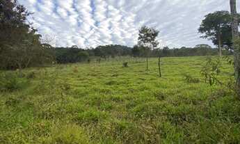Imagem 2: Terreno com área de 2,5 ha em Sítio Novo - Mateus leme/MG