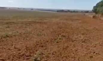 Imagem 4: Fazenda na região de Hidrolândia - GO