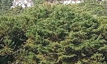 Imagem 2: Terreno no Capivari com linda vista para o Alto do Capivari