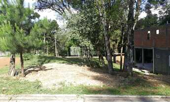 Imagem 5: Gramado - Terreno Padrão - Vivendas do Arvoredo