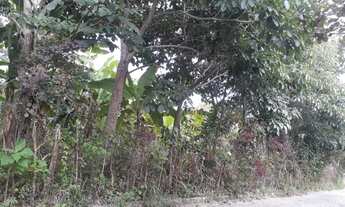 Imagem 4: Excelente Terreno urbano