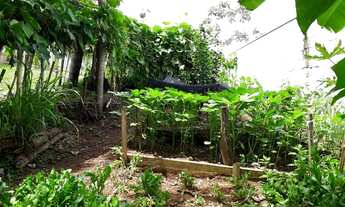 Imagem 6: Chácara Vãd. - Morungaba/SP/BR