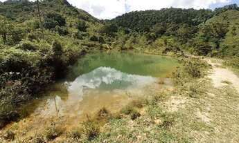 Imagem 7: Fazenda na Bahia: Cacau, Nascentes - Jaguaquara