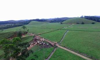 Imagem: A melhor fazenda p gado de corte e leite