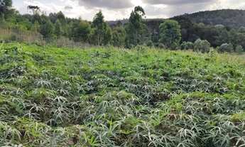 Imagem 4: Terreno para Venda, 54.604,52 m², Rio Negrinho / SC, bairro São Pedro